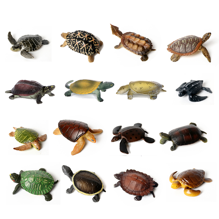 Marine Aquarium & Regional Centre Reviews - Miniaturas realistas para decoración de Acuario,