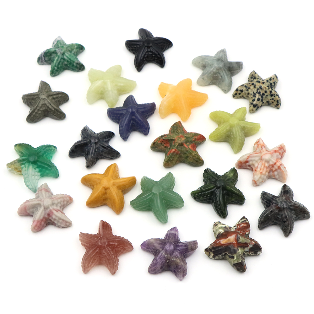 Estatua con forma de estrella  - Marine Aquarium & Regional Centre Reviews reseña y precio