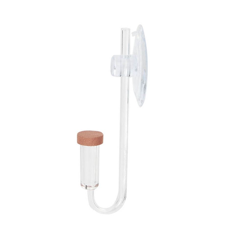 Mini pecera acrílica, planta v - Marine Aquarium Mini reseña y precio