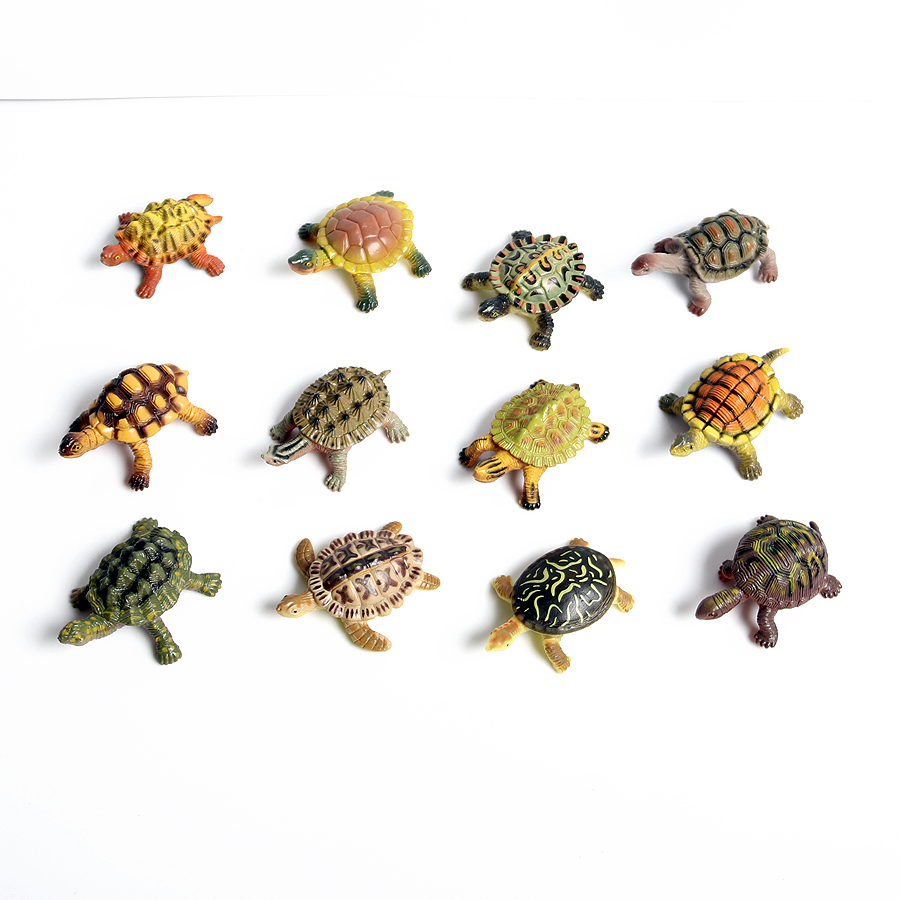 Miniaturas realistas para deco - Marine Aquarium & Regional Centre Reviews reseña y precio